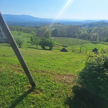 Vista With Hot Tub & Large Terrace Holiday home Leskovec pri Krskem