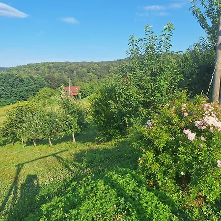 Vista With Hot Tub & Large Terrace *