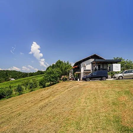 Vista With Hot Tub & Large Terrace * Leskovec pri Krskem