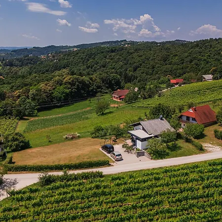 Vista With Hot Tub & Large Terrace Holiday home Leskovec pri Krskem