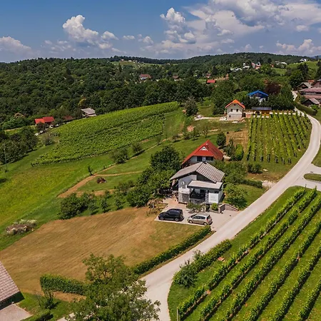 Vista With Hot Tub & Large Terrace Leskovec pri Krskem