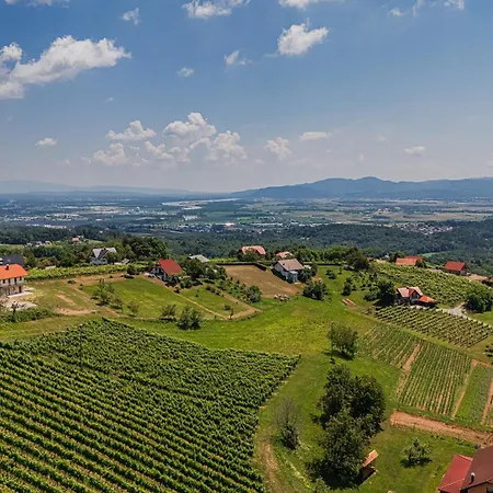 Vista With Hot Tub & Large Terrace Leskovec pri Krskem