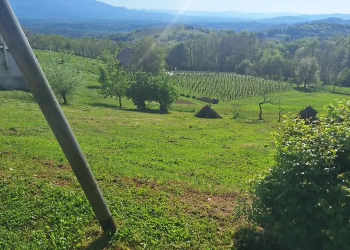 Vista Feriehus Leskovec pri Krskem